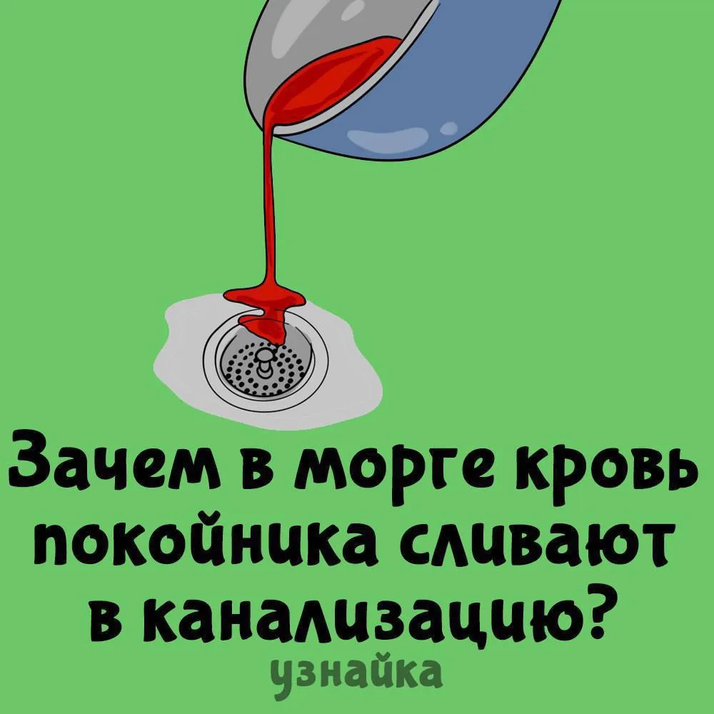 Половой АКТ в среднем длится до 10 минут, НО в " УЗНАЙКЕ " ВЫ залипнете на час минимум!