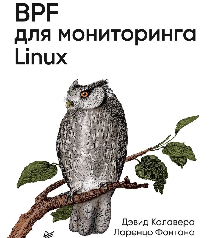 😈 BPF для мониторинга Linux