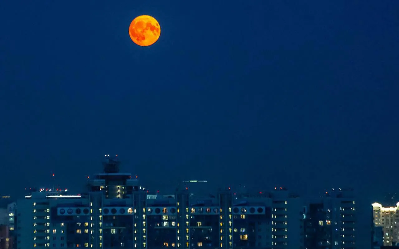 🌑 Редкое явление — «Оленью Луну» увидят москвичи в ночь на 29 и 30 июля.

Лунный диск станет необыч