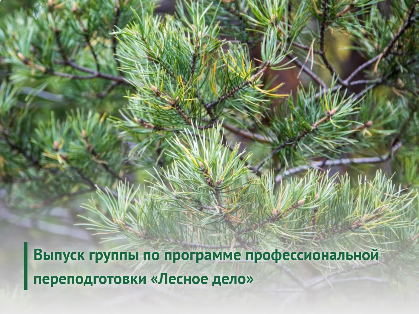 29.05.2026 в Институте 27 человек завершили дистанционное обучение по программе професс...