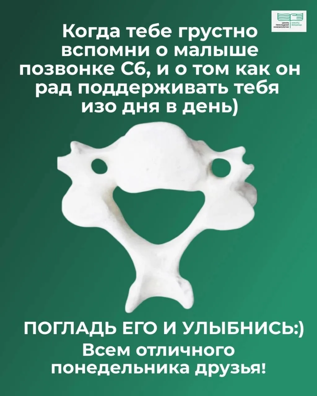 🤗Когда тебе грустно, вспомни о малыше позвонке С6, и о том как он рад поддерживать теб...