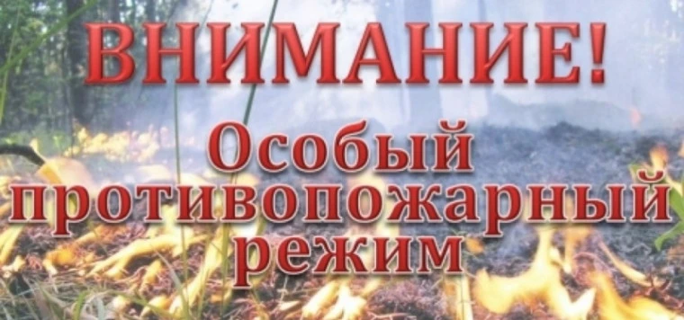 ⚠️С 30 апреля 2026 года в регионе введён особый противопожарный режим — до особого расп...