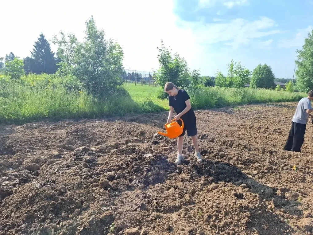 Экологический отряд не только заботится о клумбах, но и пришкольном огороде.