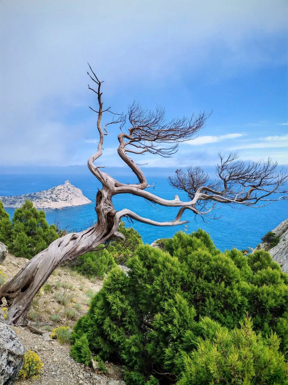 🌲 Новый Свет – место, куда хочется возвращаться снова и снова.

🌊 Наслаждаться неспешным ритмом жи