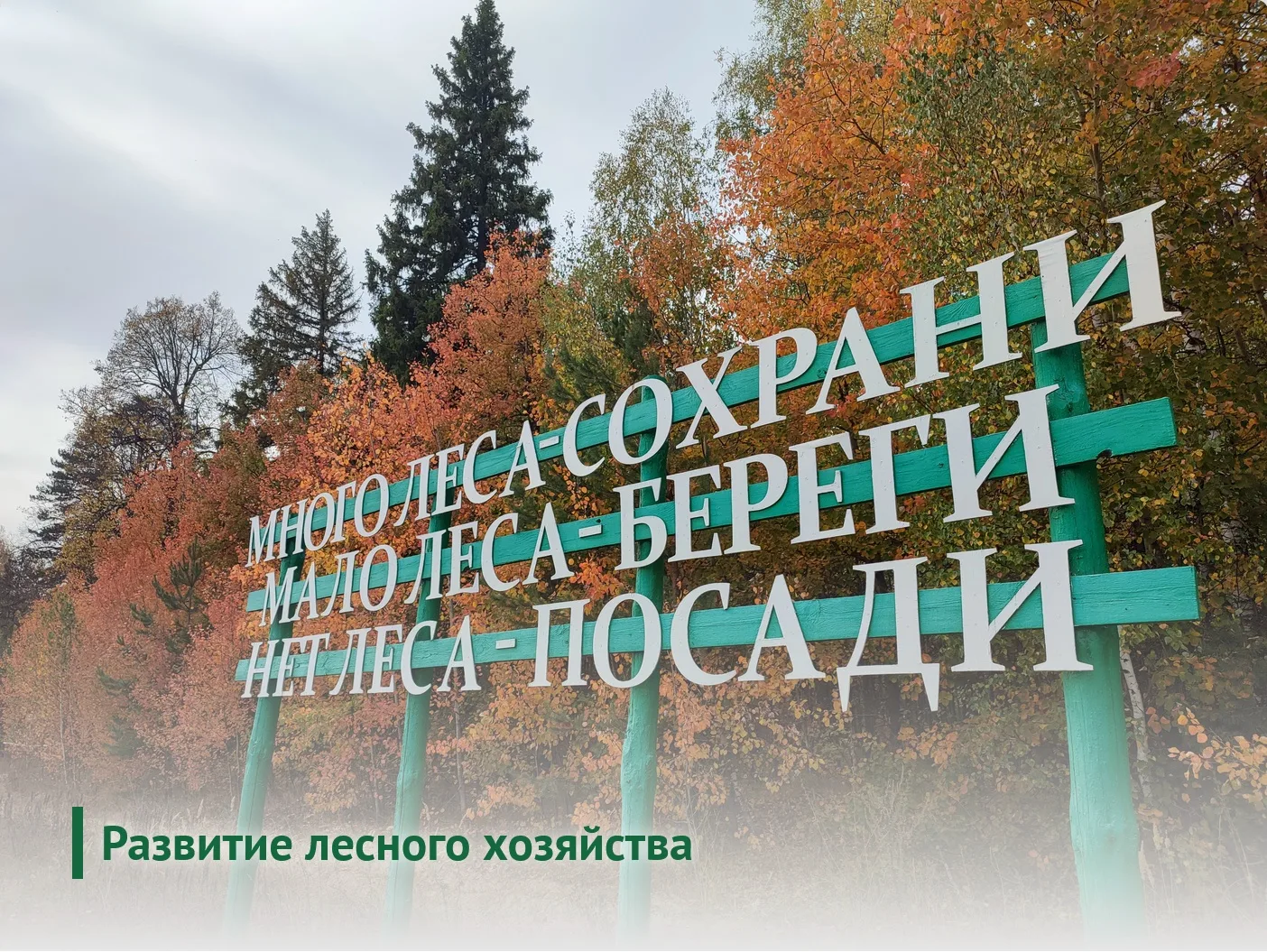Приглашаем на стажировку с 24.08.2026 по 28.08.2026, которая будет проходить в Министер...