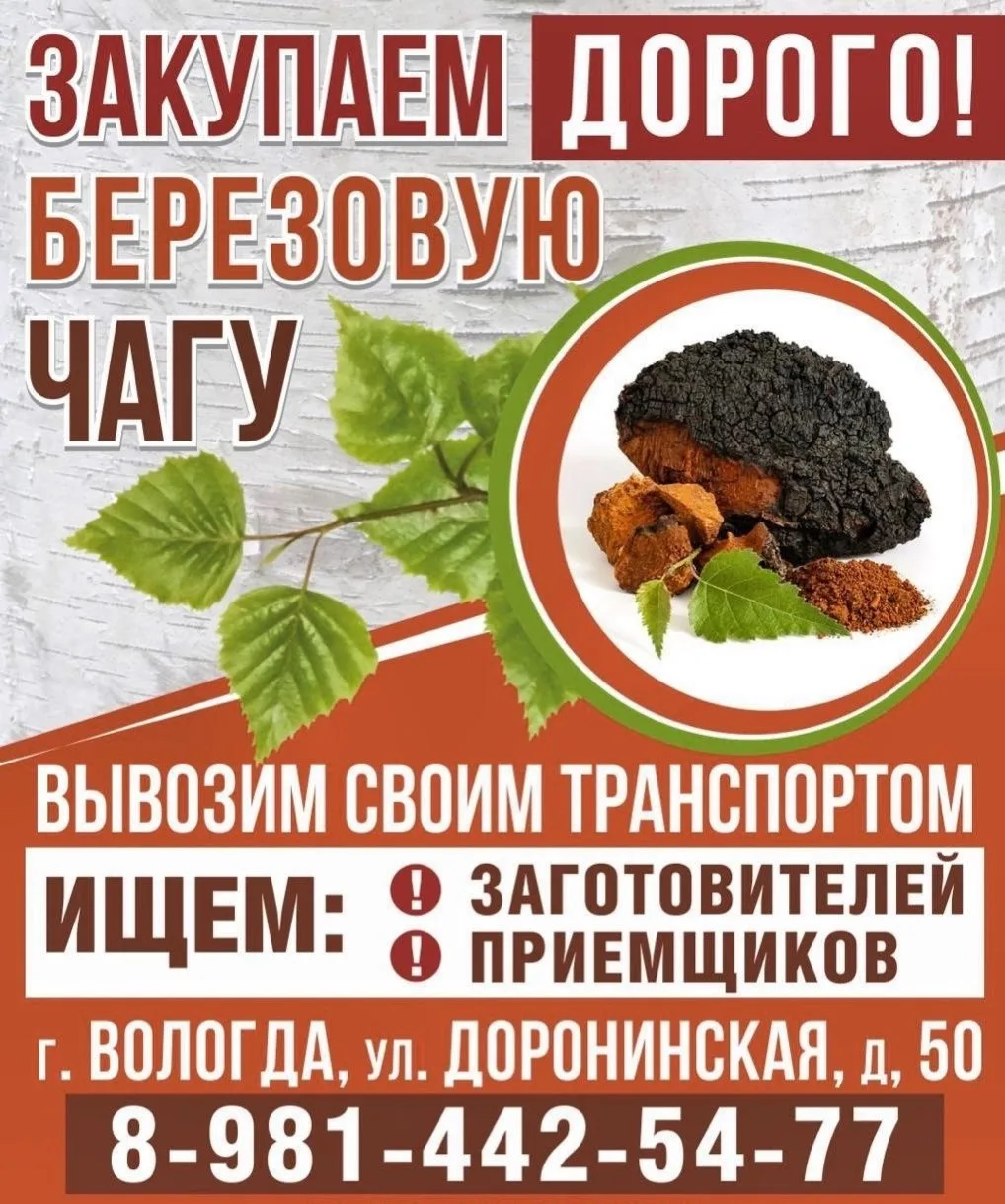Закупаем береговую чагу, рога лося и оленя. 

📍По максимально высоким ценам !
📍Самовывоз по област