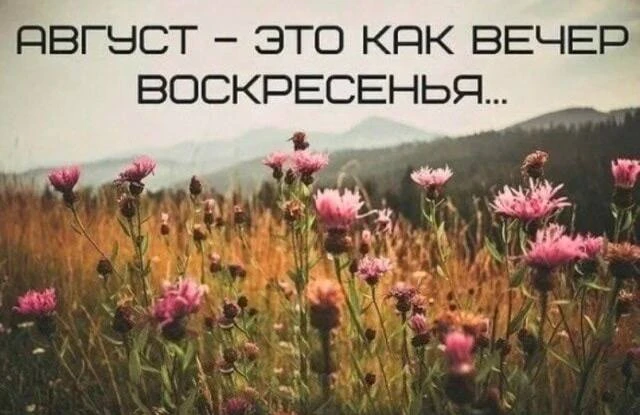 Я в Tг | Я наOZON |
Салюты | Пневматика | 
Компьютеры| Самогон