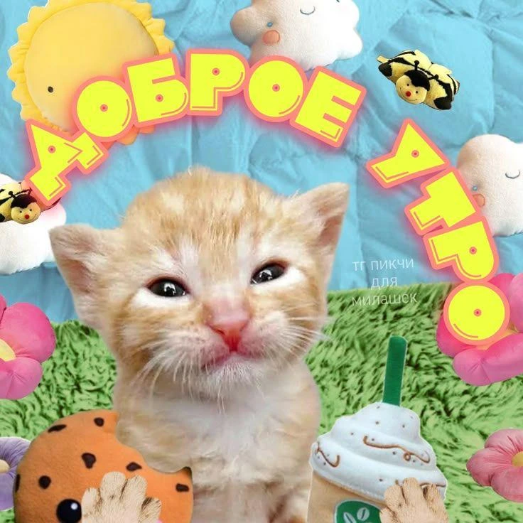 😎 Всем доброе утро!