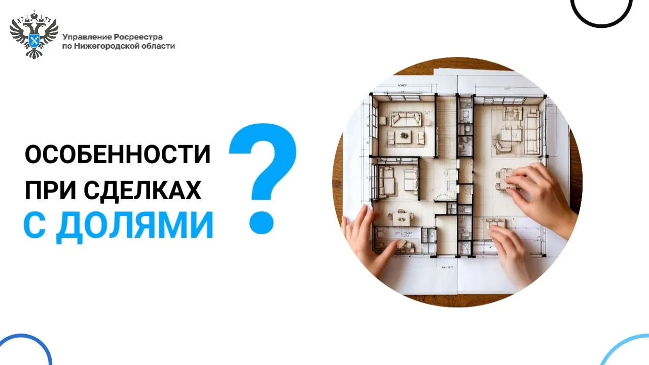 Какие особенности существуют при сделках с долями?