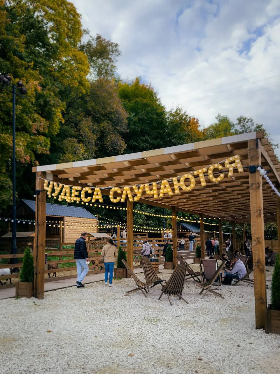 🦙 Познакомимся с альпаками в уютном парке?  Уютный парк альпак «Симба» расположен среди живописного 
