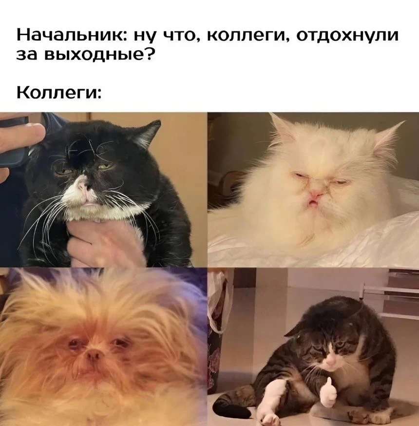 Доброе утро, коллеги!