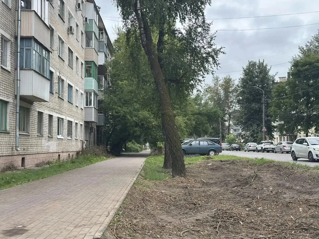На Максима Горького в Калуге высадят новые деревья 

Сейчас на этом участке завершают снос аварийных