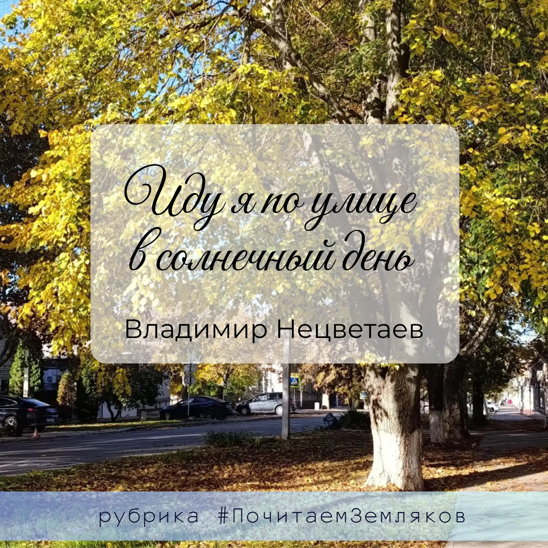 Иду я по улице в солнечный день,