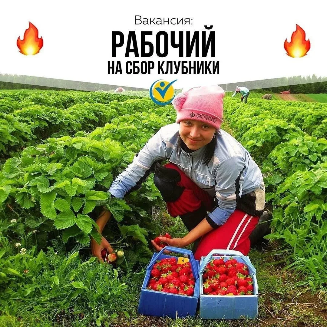 Мы в поисках  БРИГАДИРА  и рабочих для: