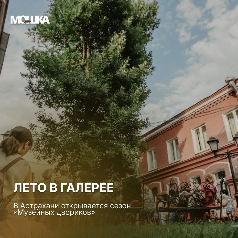 Лето в галерее: в Астрахани открывается сезон «Музейных двориков»

С 16 июля по 27 августа, по четве