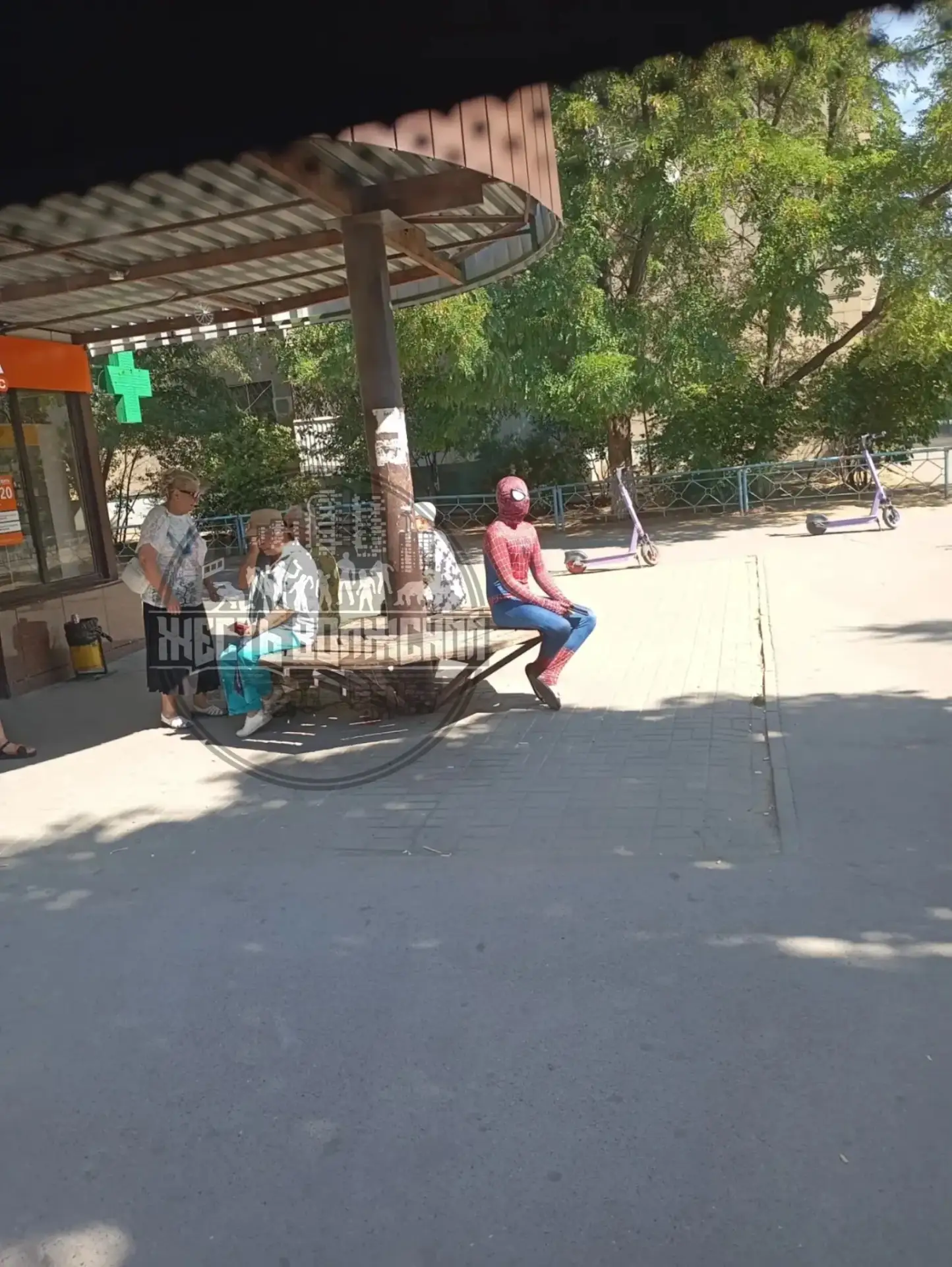 🕷 Кажется, у Волжского появился свой Человек-паук