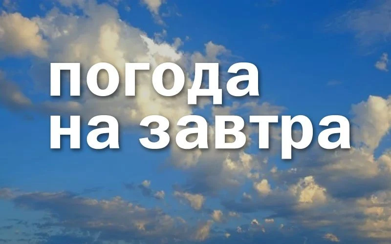 Прогноз возникновения чрезвычайных ситуаций (далее - ЧС)