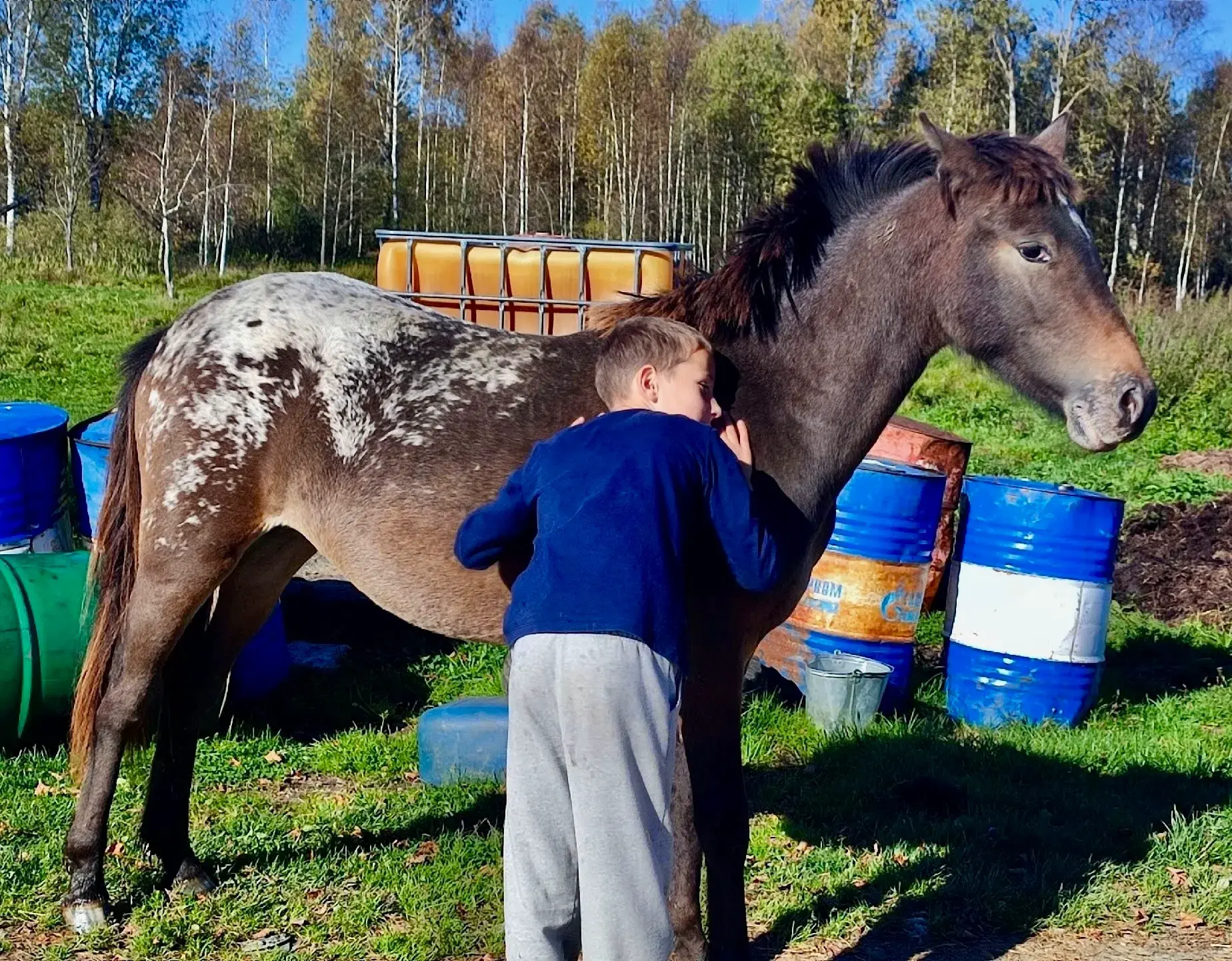 🐎 Школьники Вяземского округа провели день в конном хозяйстве