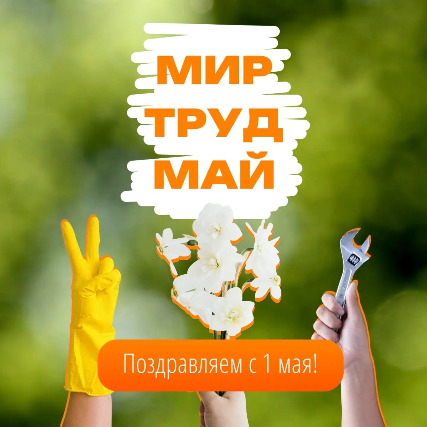 🌸 Дорогие читатели, поздравляем вас с Первомаем 📚