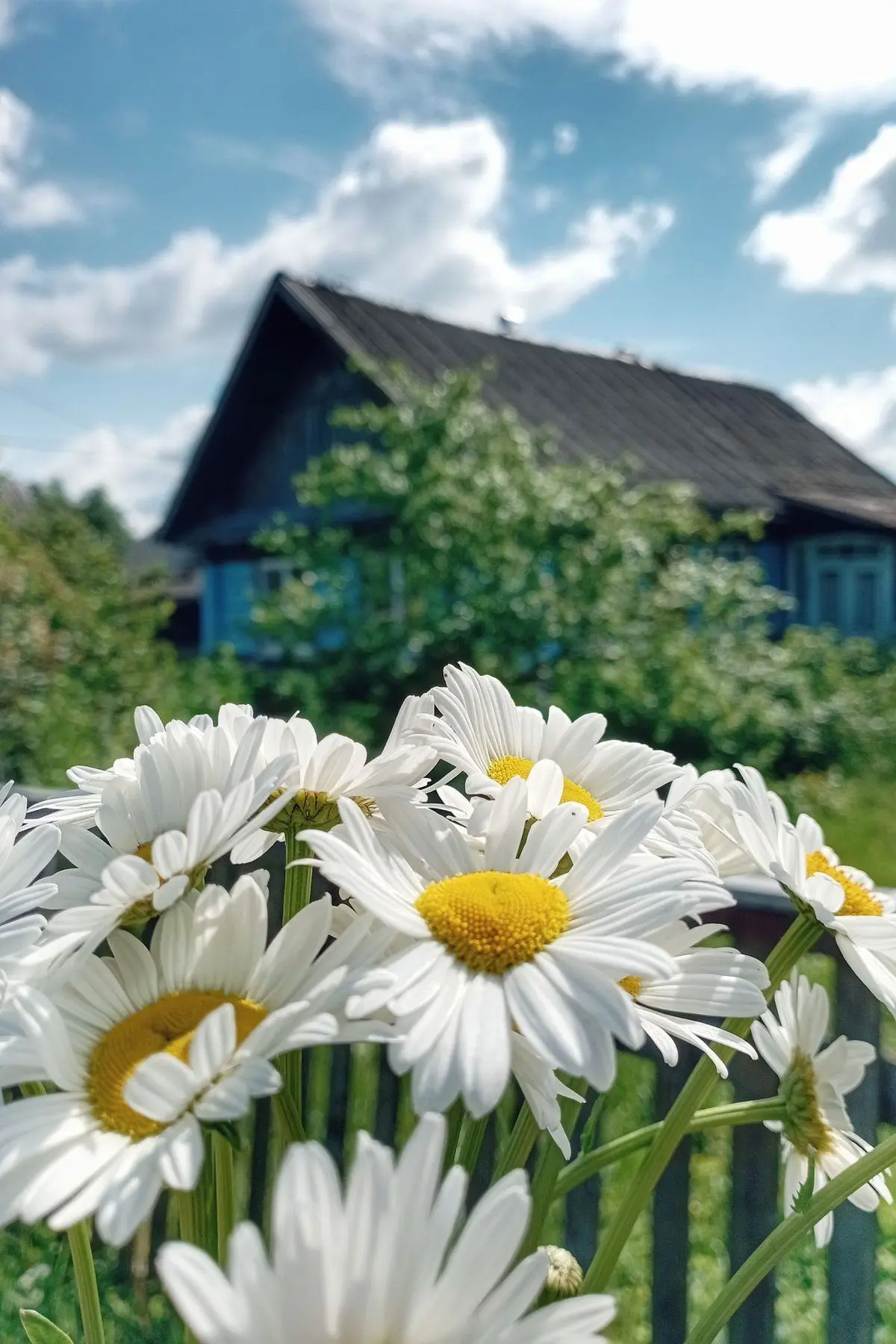Доброе утро! 🌸🩷

Погода на сегодня, 23 июня:
🌡Температура:
               утром +24
             