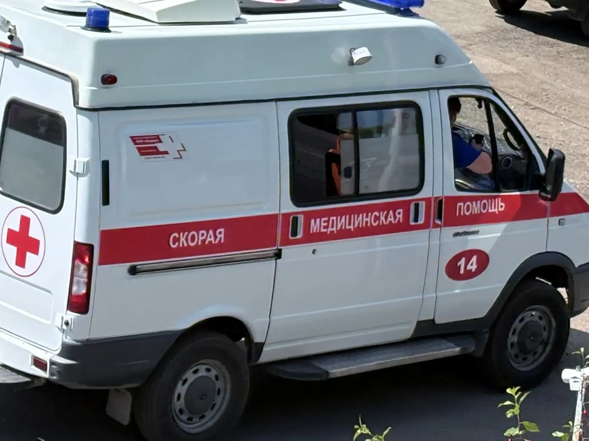 В Бийске 7‑летний ребёнок попал в больницу после того, как попробовал неизвестную ягоду

Как стало и