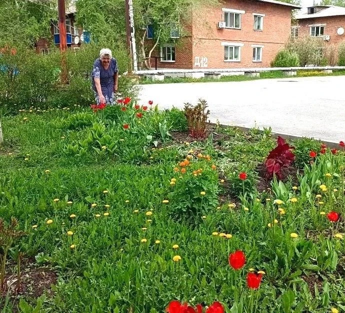 🌸🌿Есть что-то особенное в том, когда люди превращают обычную придомовую территорию в ...