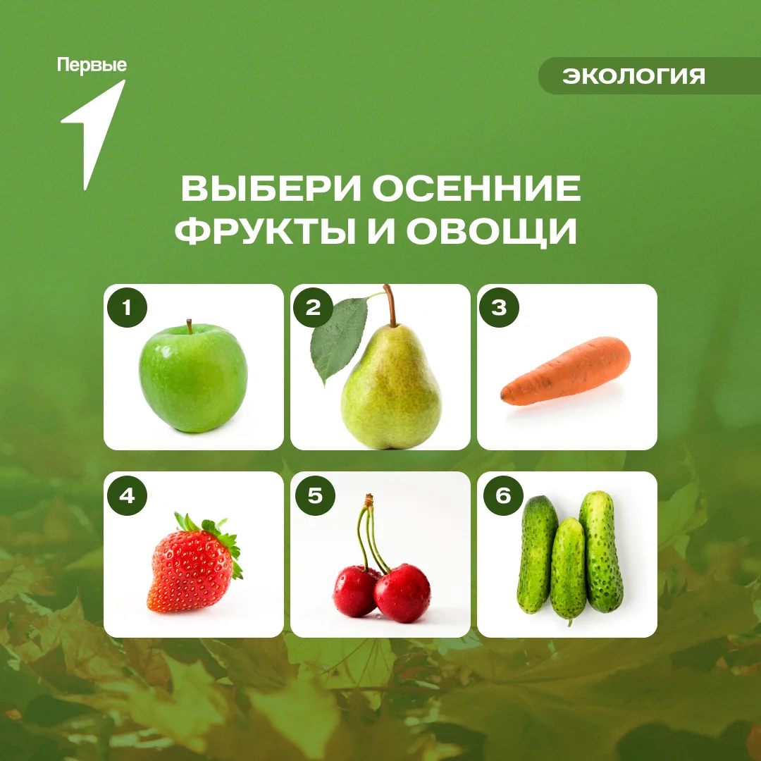 Первые, время собирать урожай 🍎