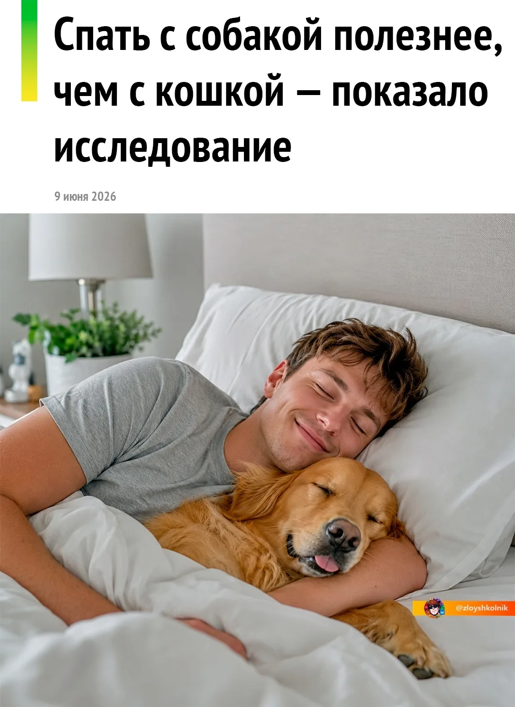 🐶 С собаками спать лучше, выяснили японские учёные.

Исследователи из университета Тиба опросили по
