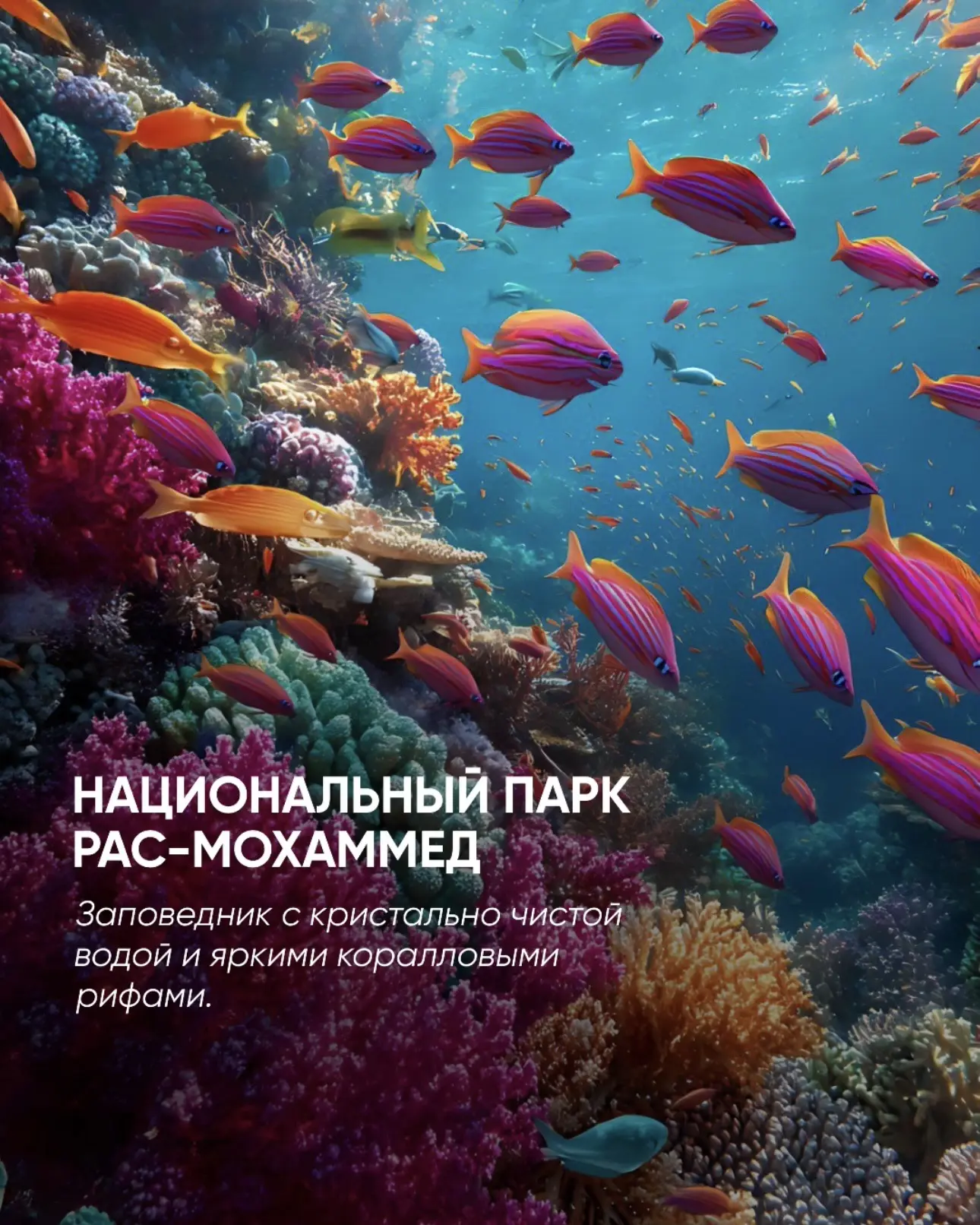 Изображение 5 к публикации «Anex | Турагентство»