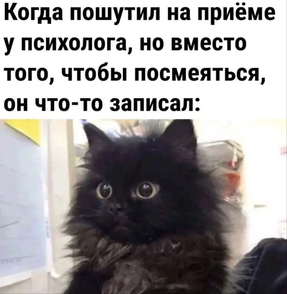 Наш канал ЛУЧИК РАДОСТИ ✨