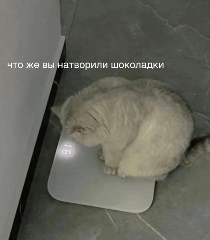 Изображение 1 к публикации «ЛЕГКИЕ РЕЦЕПТЫ»