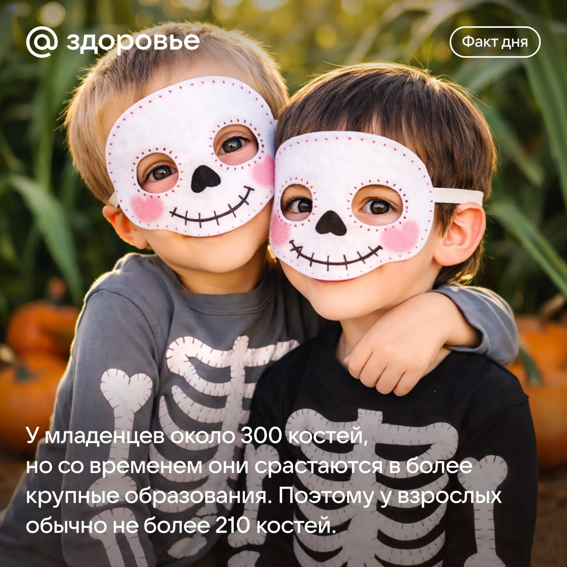 Хорошего дня! 😍