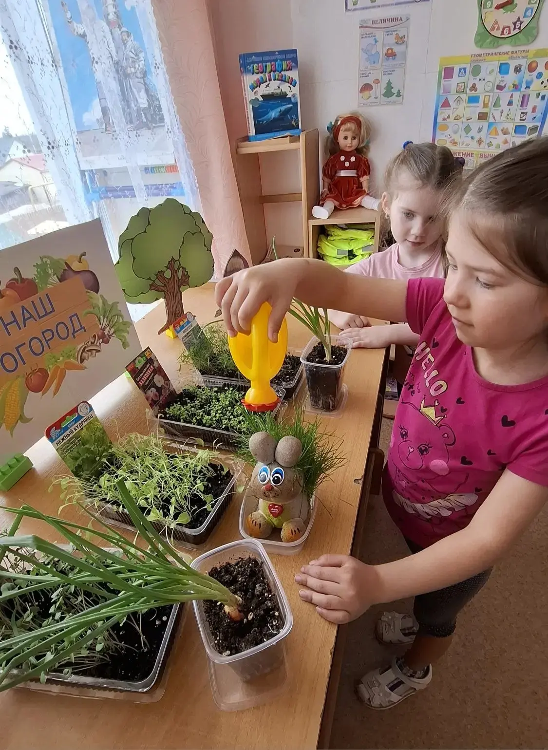 Дети с увлечением продолжают свои наблюдения за огородными культурами, которые они поса...