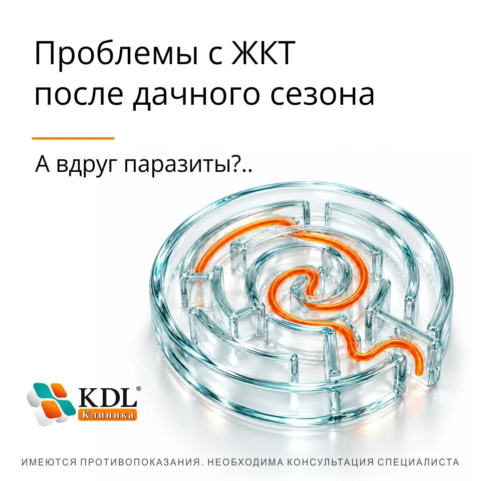🍎 После дачного сезона появились проблемы с ЖКТ: что проверить?