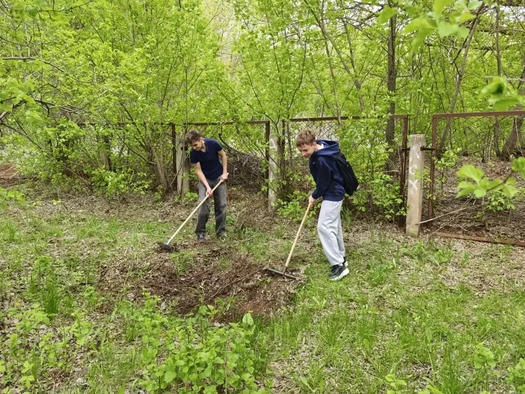 🌳 Наш школьный двор стал ещё уютнее!  Сегодня наша школа присоединилась к Всероссийскому субботнику.