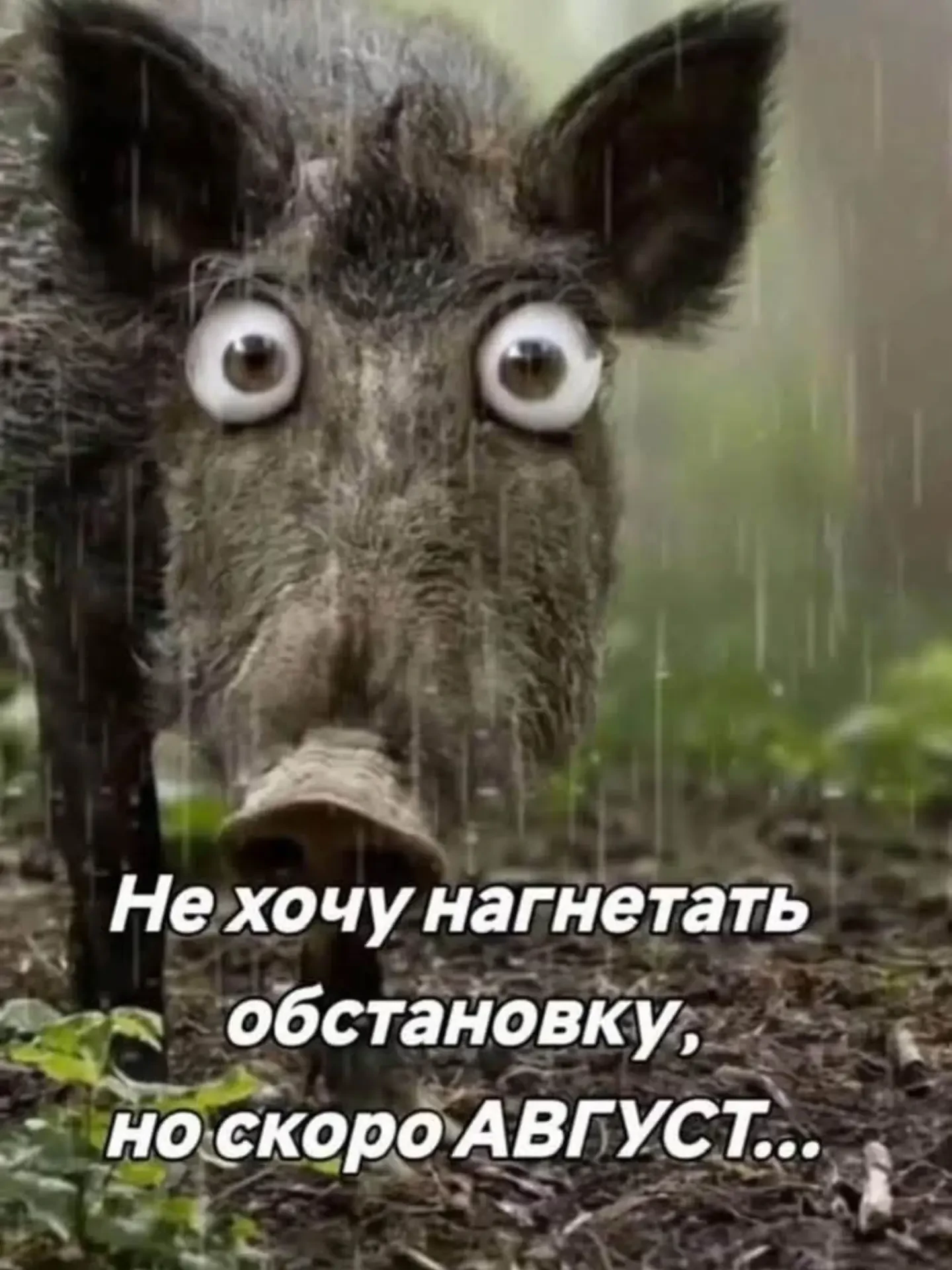 Женский юмор - Подписаться