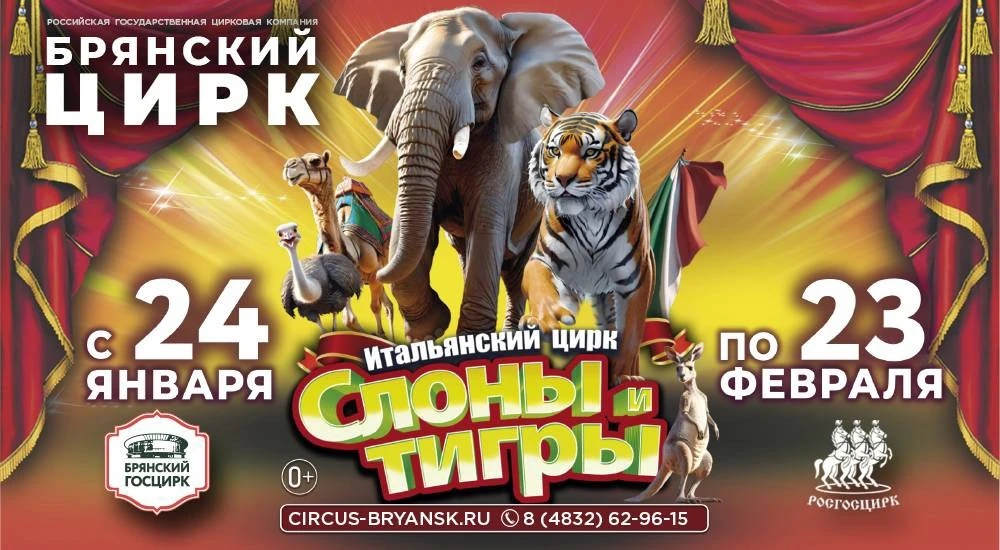 🔥18 февраля учащиеся 2 «В» и 6 «А» классов побывали в Брянском цирке, где увидели захватывающее пред