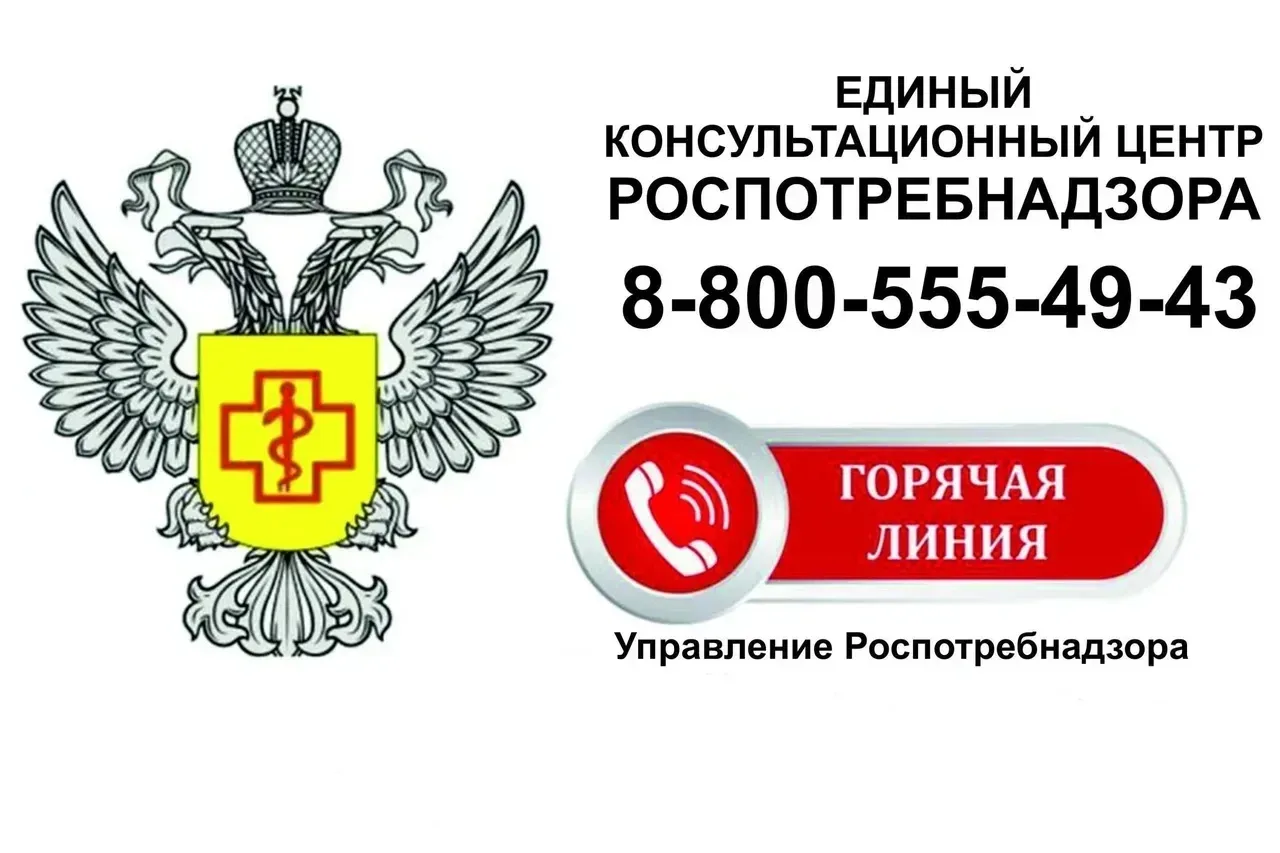 Внимание, родители! Роспотребнадзор запускает «горячую линию» по вопросам детского отды...