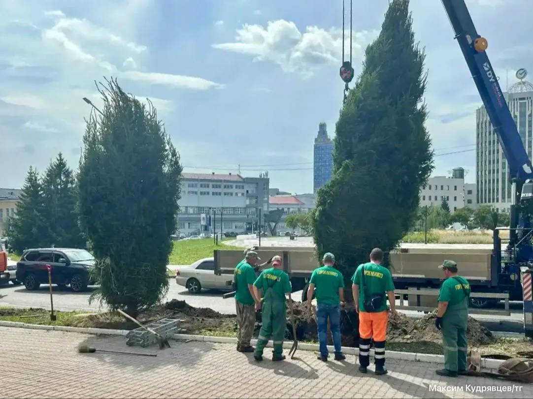 В Новосибирске высаживают ели для Аллеи памяти сотрудников полиции

На улице Каменской, между Коммун