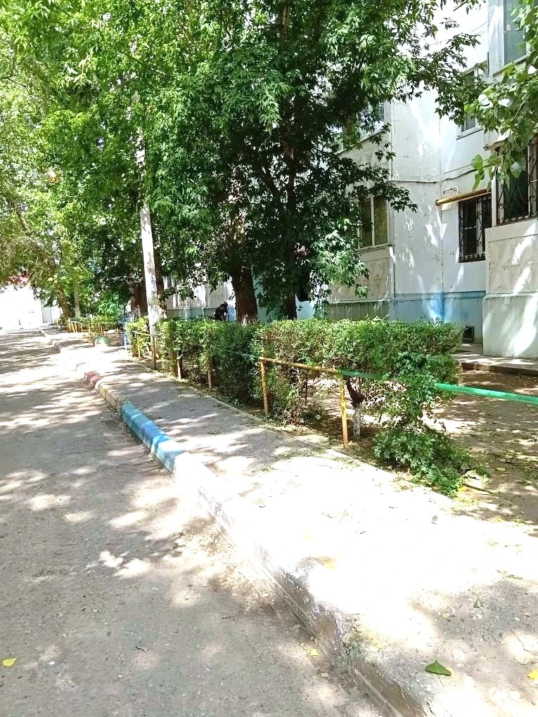 К новости «✂️ «Зеленый парикмахер» 🌳»