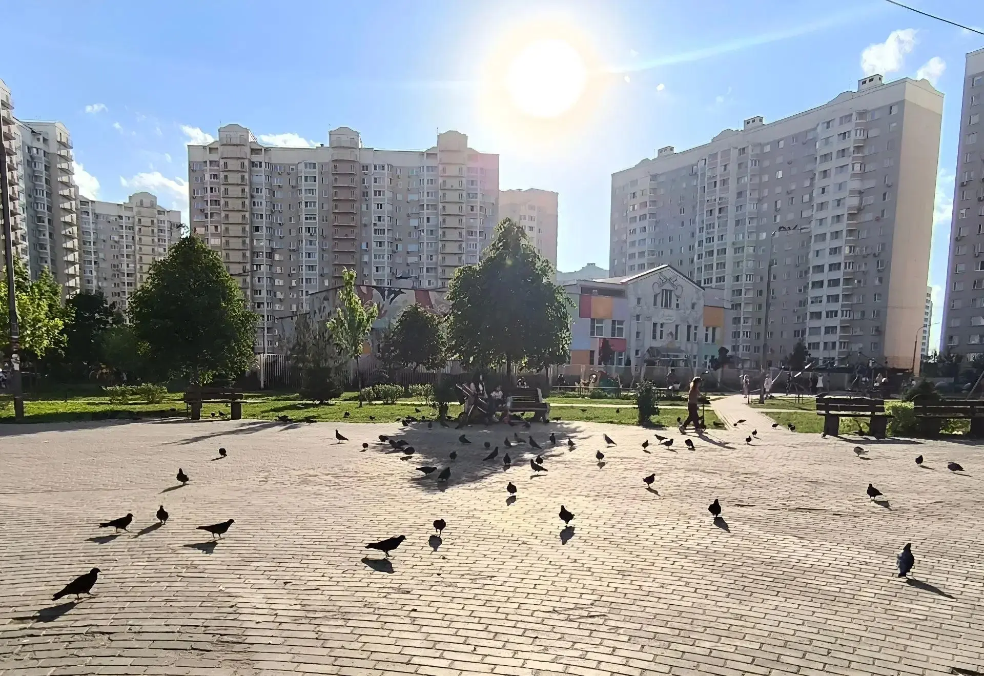 🐦ГОЛУБИНЫЙ ПИР – БАНКЕТ ДЛЯ ГРЫЗУНОВ 
 
Вот она, типичная городская сцена: мама с коляской останавл