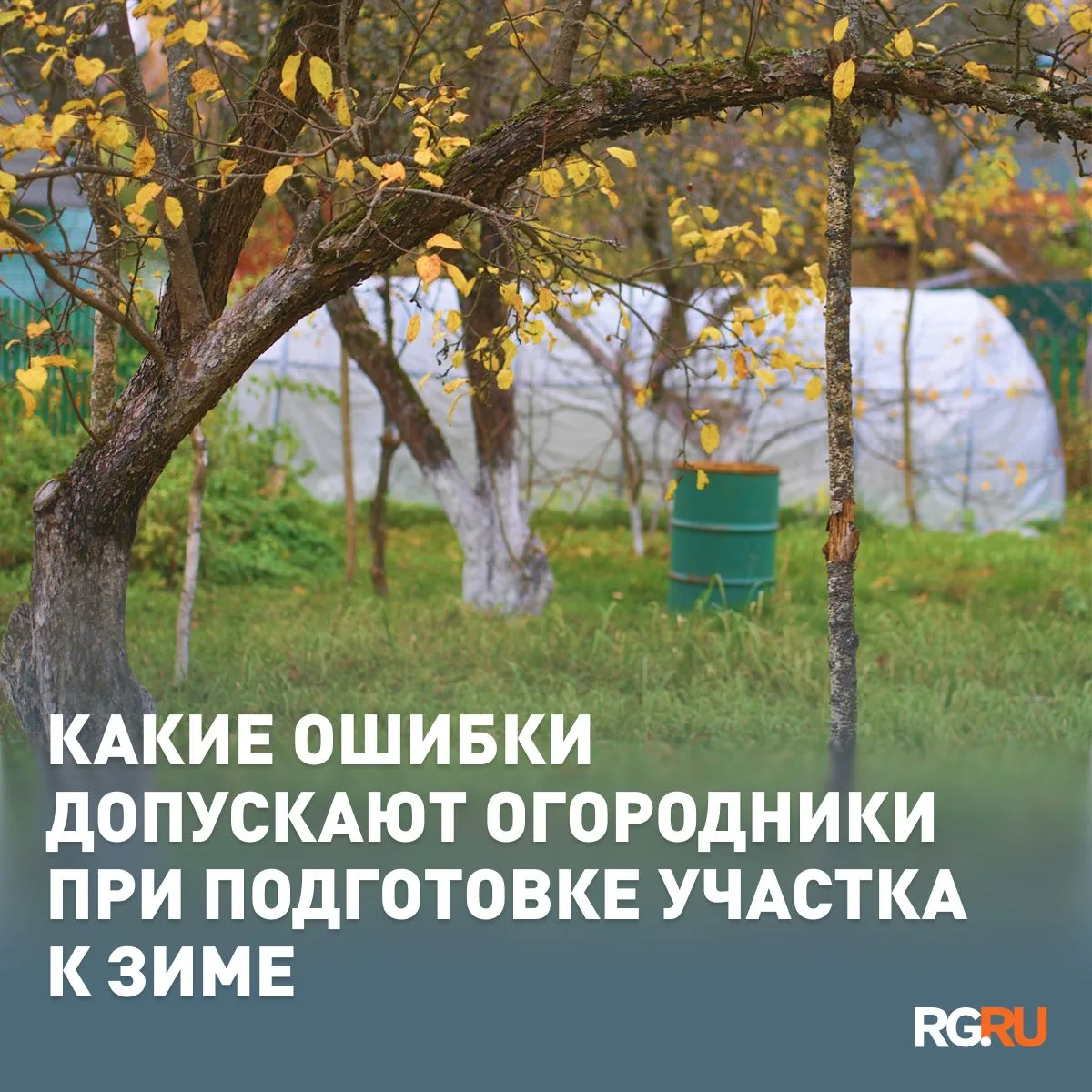 Какие ошибки допускают огородники при подготовке участка к зиме