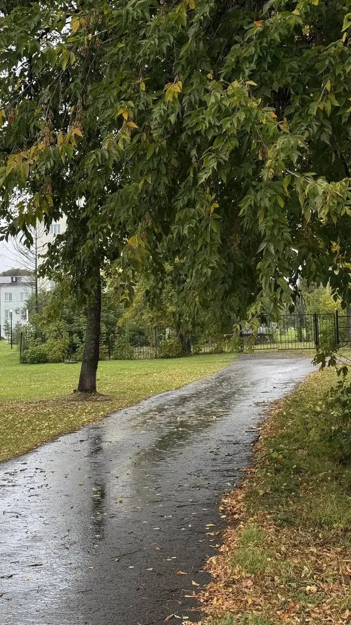 Доброе утро, Киров!