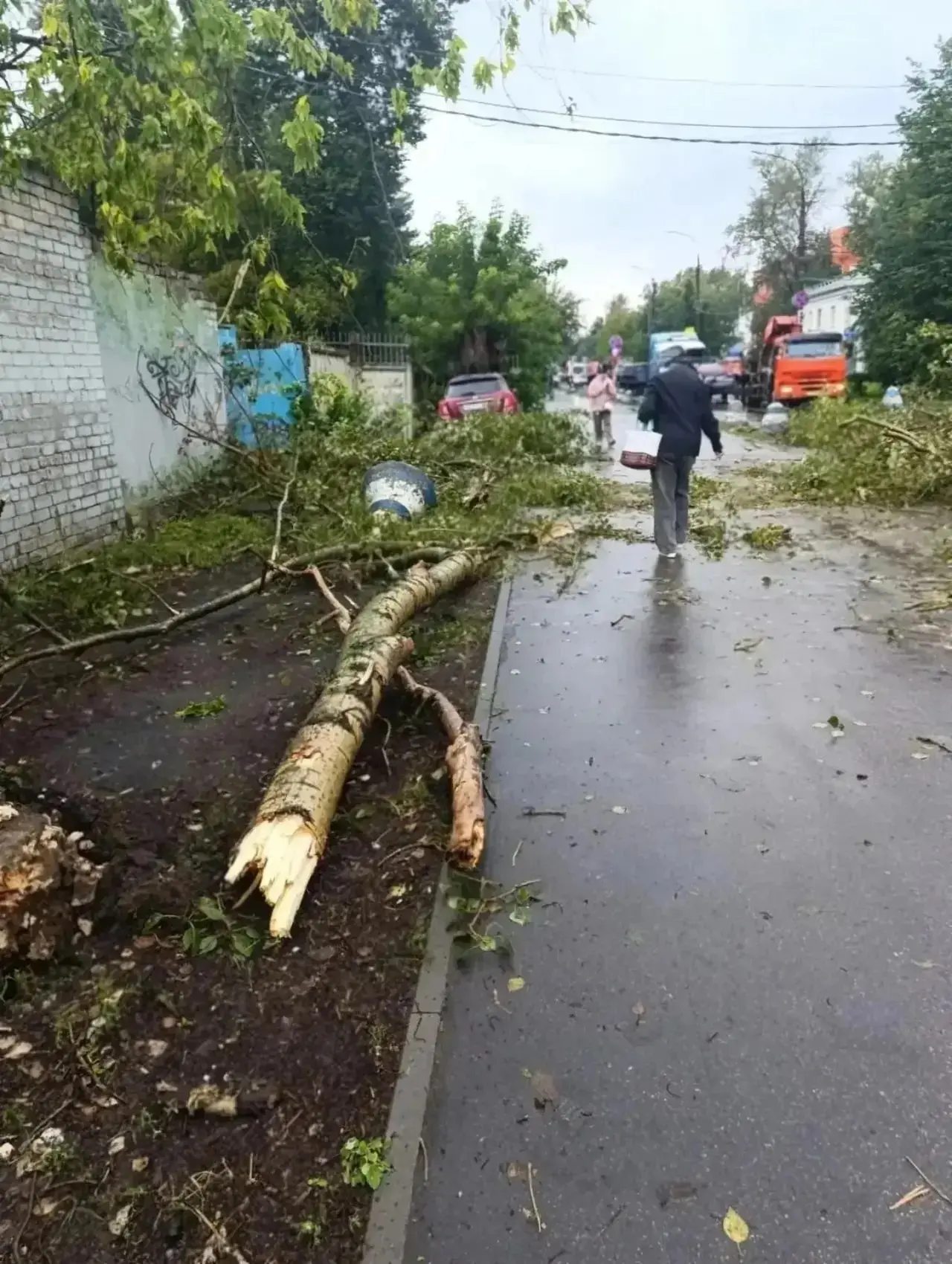 🌪️ Торнадо на Автозаводе повалило деревья и повредило машины