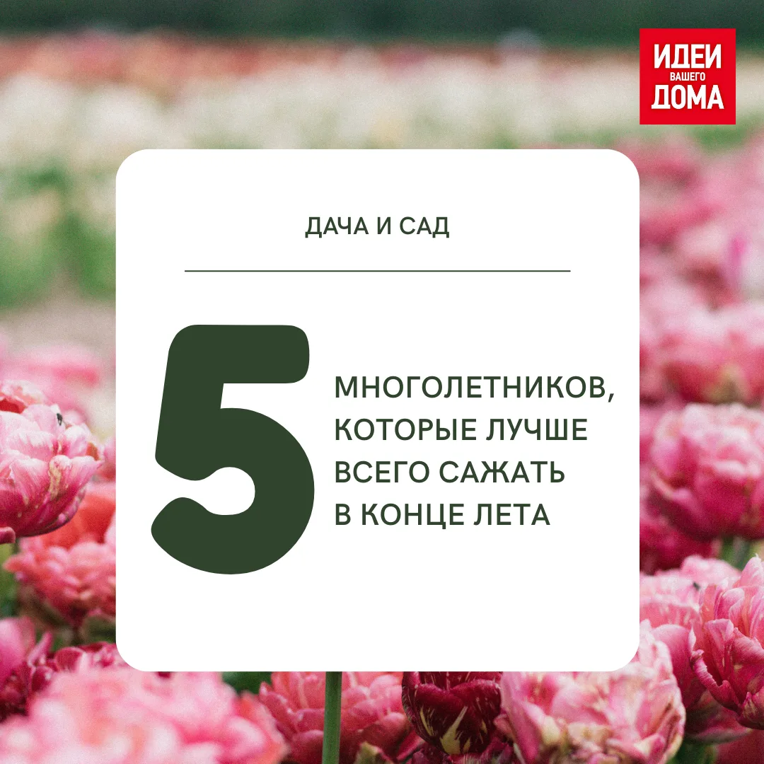 Изображение 1 к публикации «Идеи Вашего Дома»