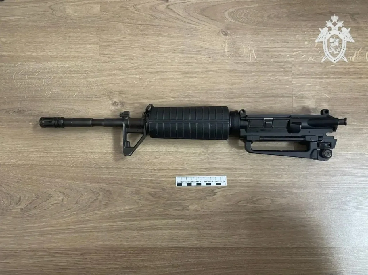 ⚖️ Условный срок за найденный возле Светлограда ствол