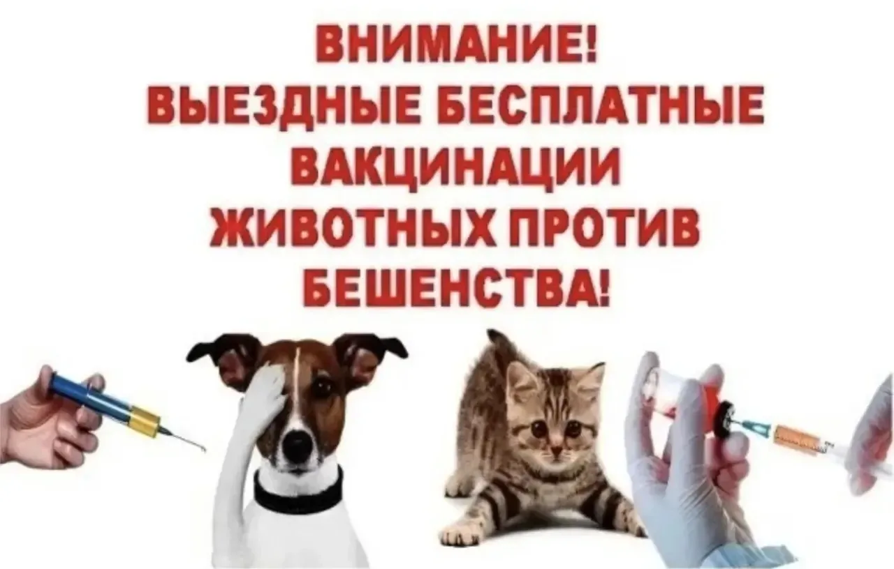 Уважаемые жители!
20 июня 2026 года с 13.00 до 15.00 часов пройдёт массовая вакцинация собак и кошек
