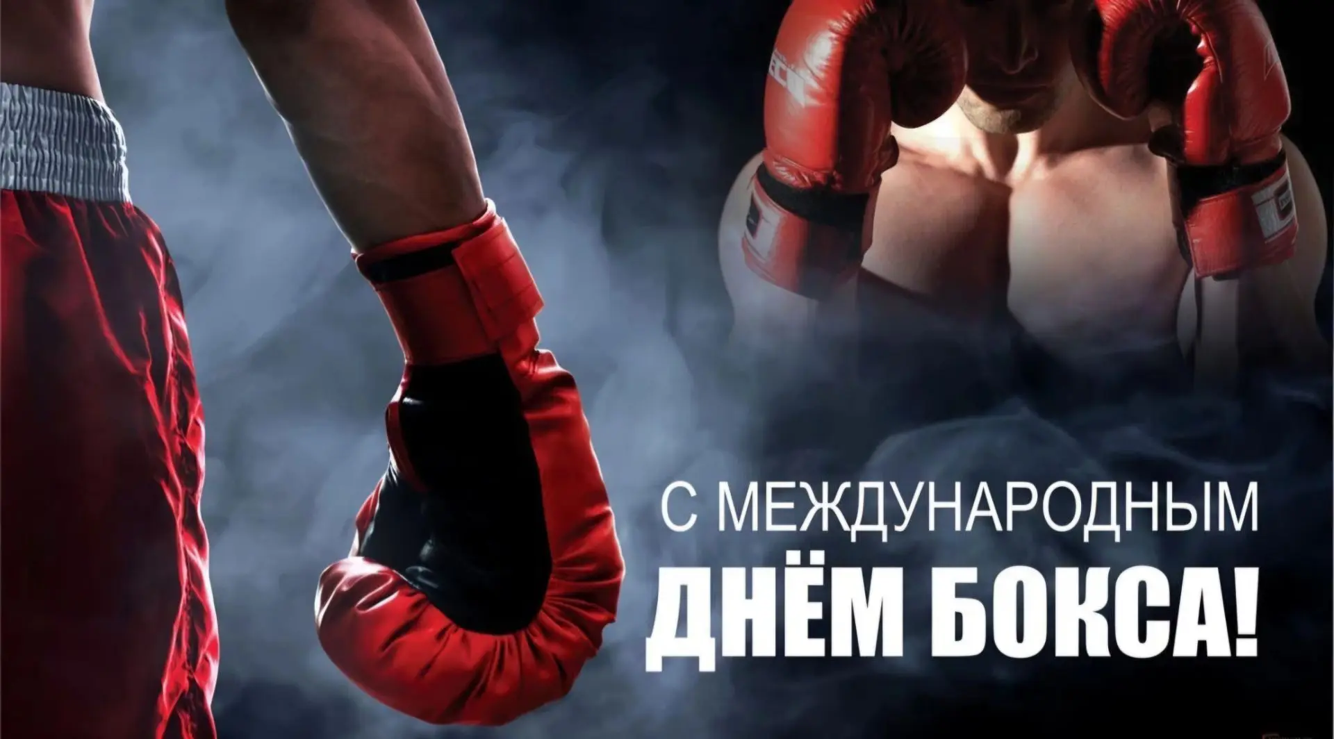 27 августа - Международный день бокса💪🥊