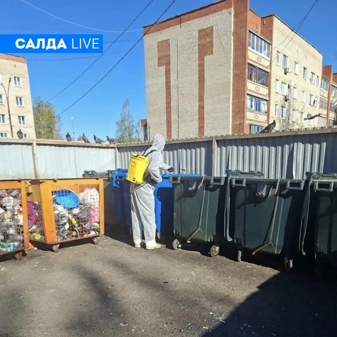 🐀 В Верхней Салде приступили к борьбе с крысами