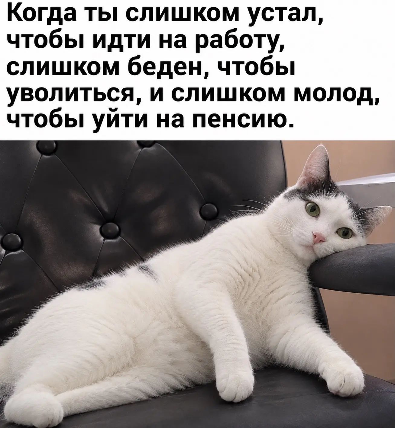 Доброе утро, коллеги!